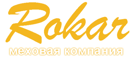 Логотип компании Рокар